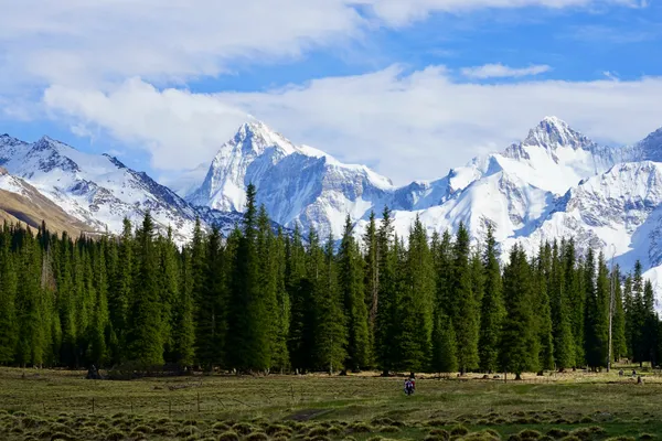 Xinjiang