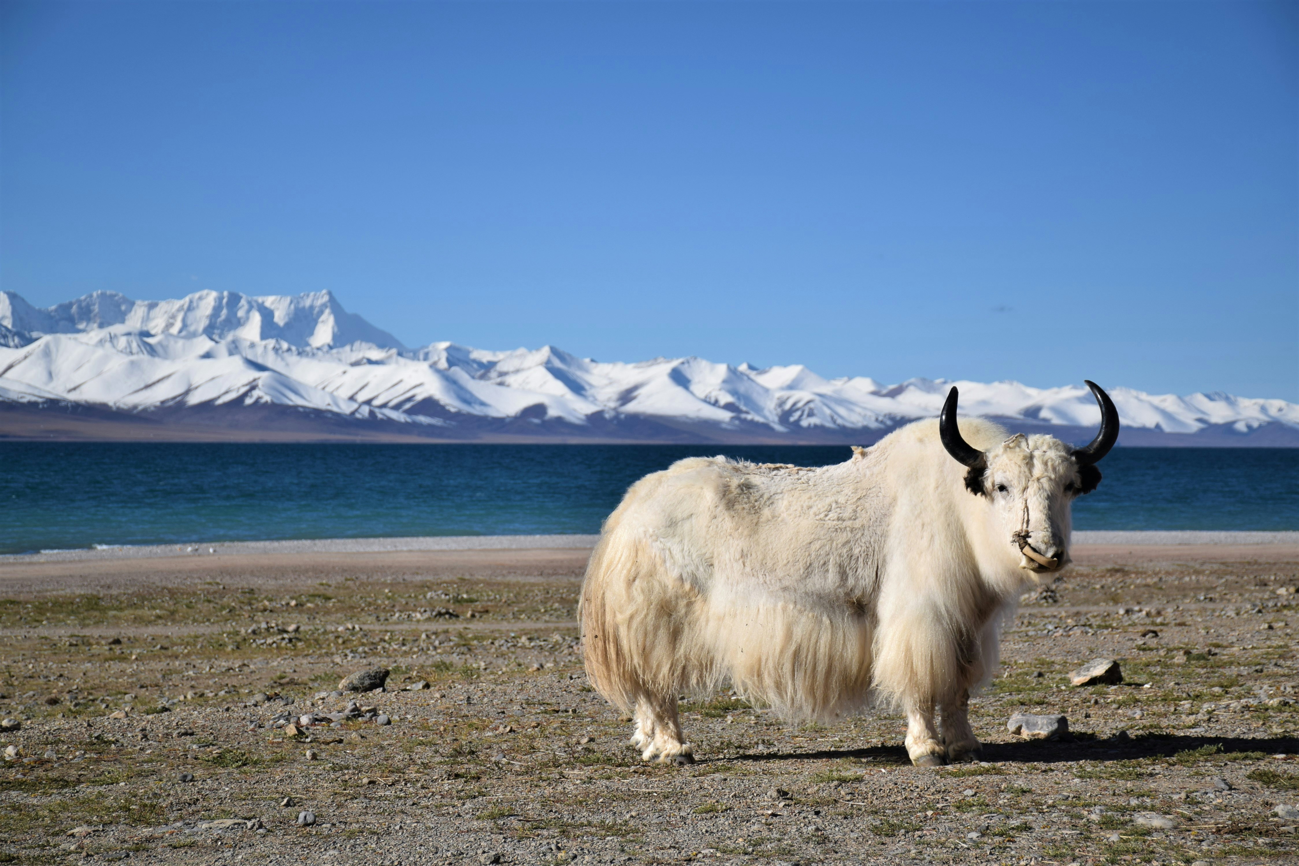 Travel destination highlights 1